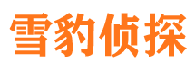 河津找人公司